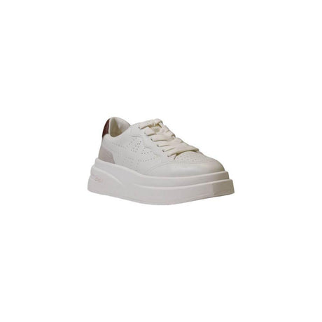 ASH Bordeaux Leather Sneaker - Hilstor