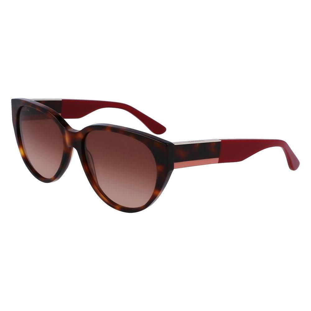 Lacoste Brown Acetate Sunglasses - Hilstor