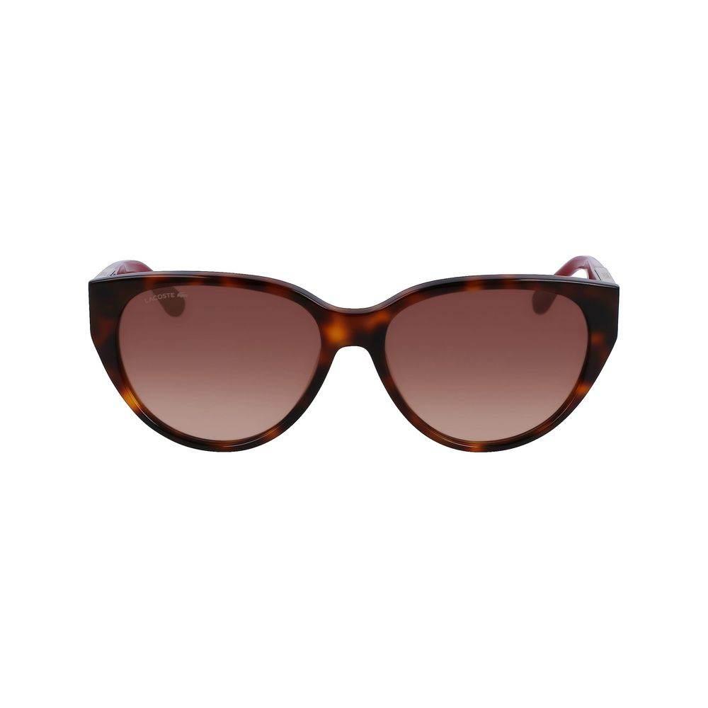 Lacoste Brown Acetate Sunglasses - Hilstor