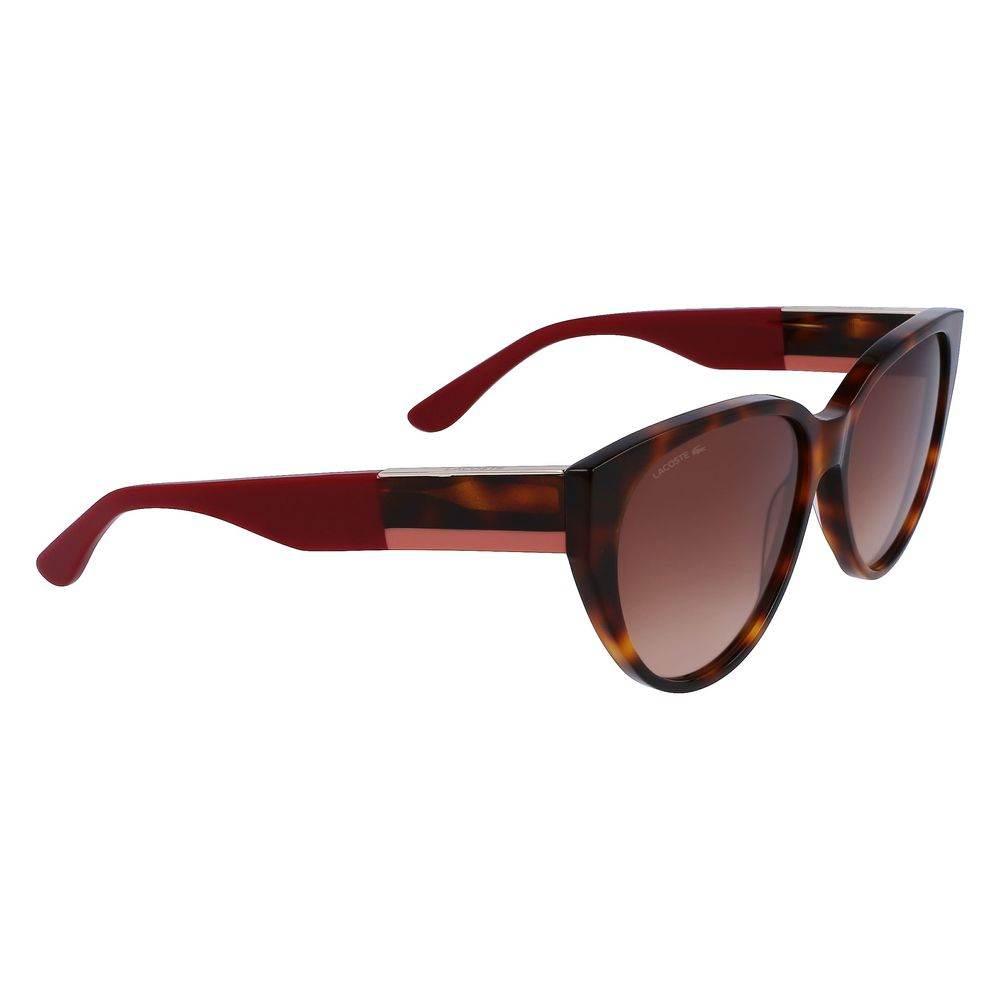 Lacoste Brown Acetate Sunglasses - Hilstor