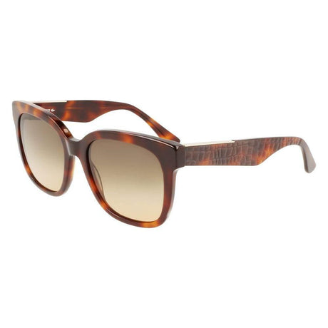 Lacoste Brown Acetate Sunglasses - Hilstor