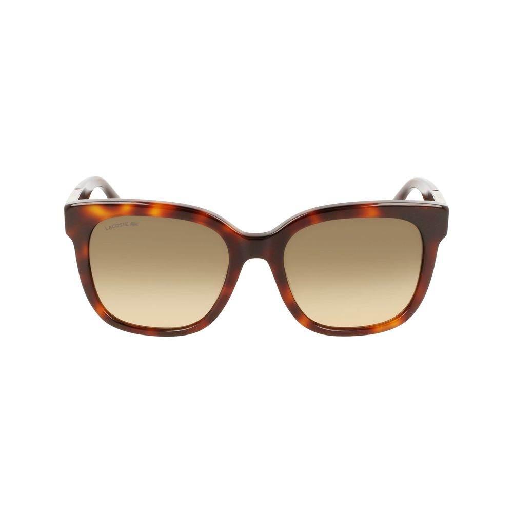 Lacoste Brown Acetate Sunglasses - Hilstor