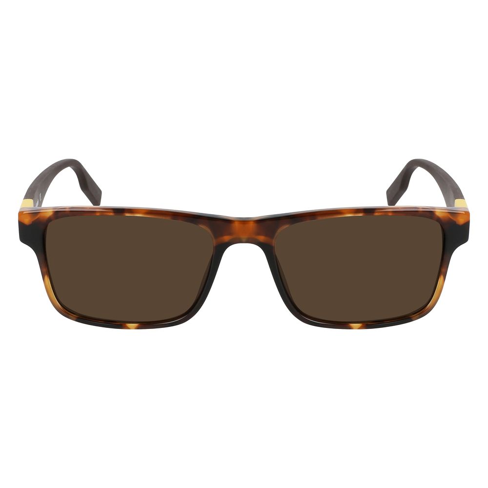 Converse Brown Acetate solbriller