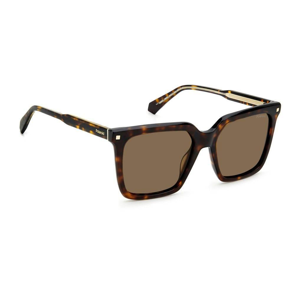 Polaroid Brown Acetate Sunglasses - Hilstor