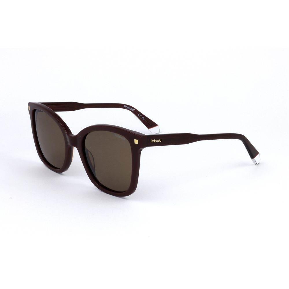 Polaroid Red Acetate Sunglasses - Hilstor