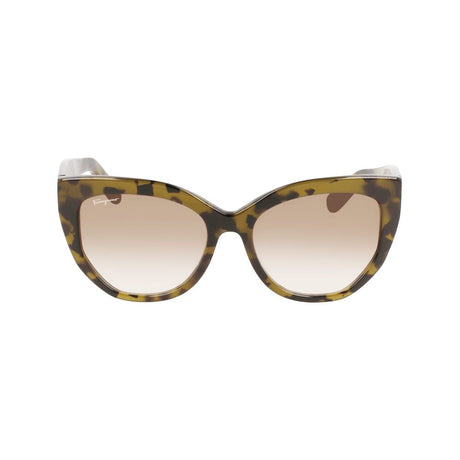 Ferragamo Brown Acetate solbriller