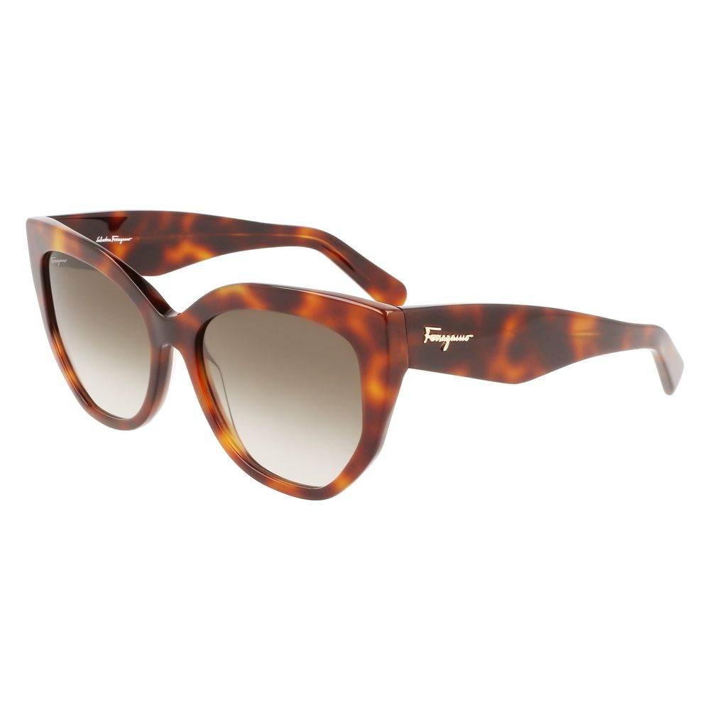 Ferragamo Brown Acetate solbriller