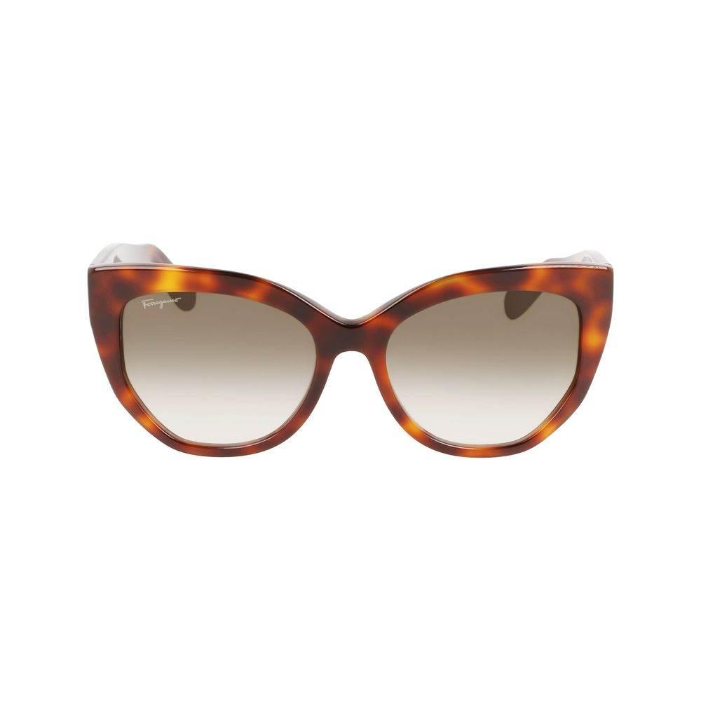 Ferragamo Brown Acetate solbriller