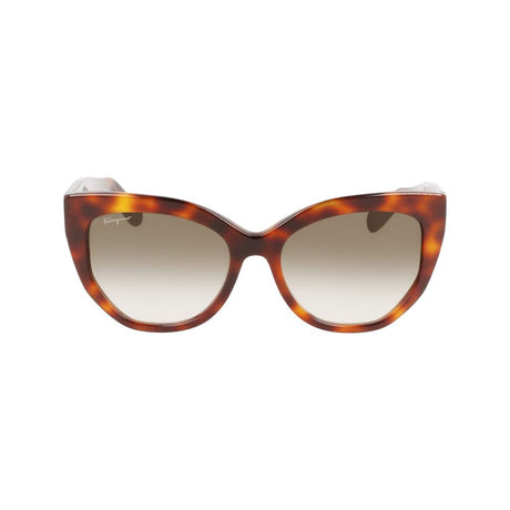 Ferragamo Brown Acetate solbriller