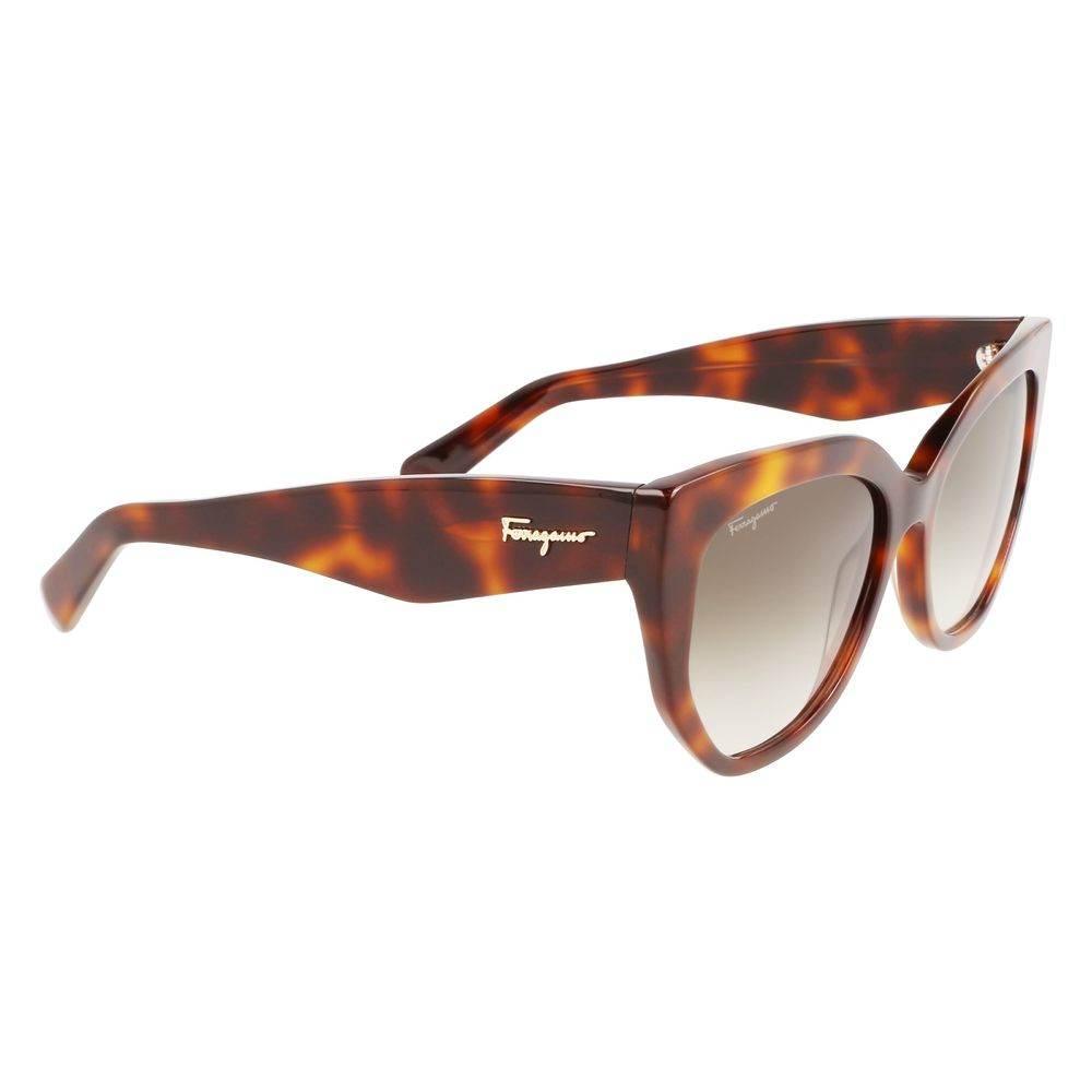 Ferragamo Brown Acetate solbriller