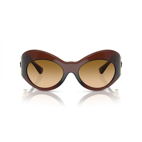 Versace Brown Acetate solbriller