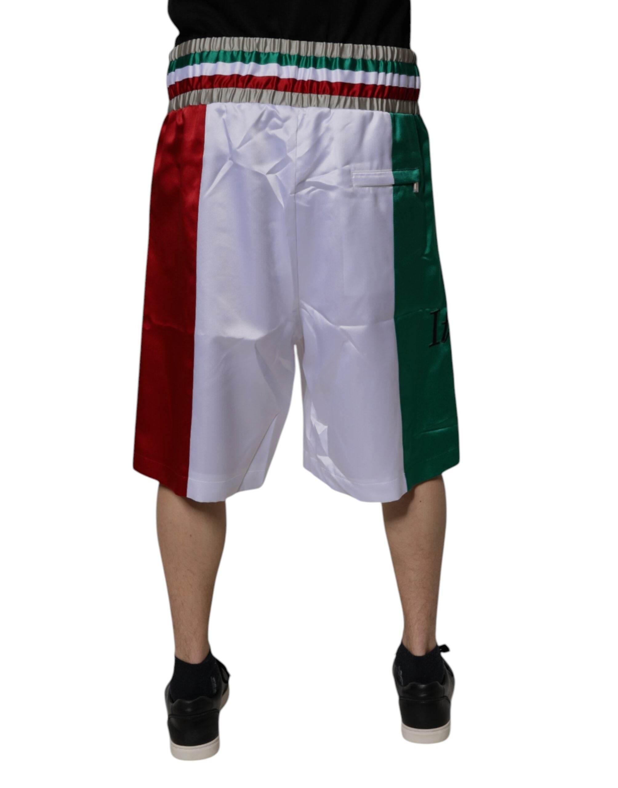 Dolce & Gabbana Multicolor Italia Polyester Bermuda Shorts - Hilstor