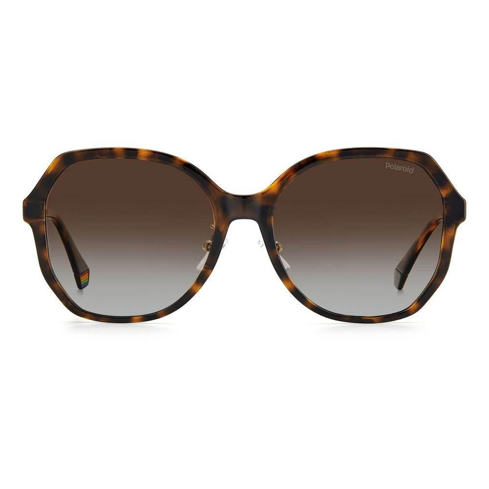 Polaroid Brown Plastic Sunglasses - Hilstor