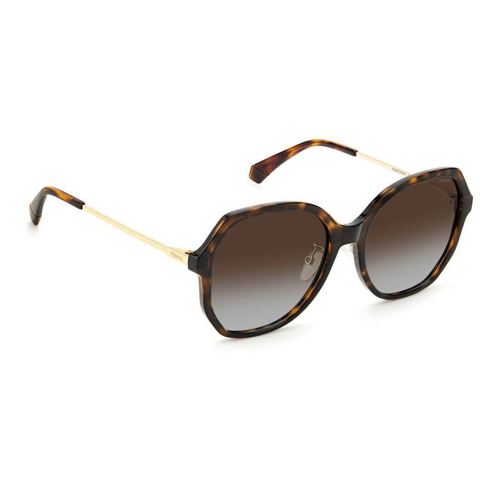 Polaroid Brown Plastic Sunglasses - Hilstor