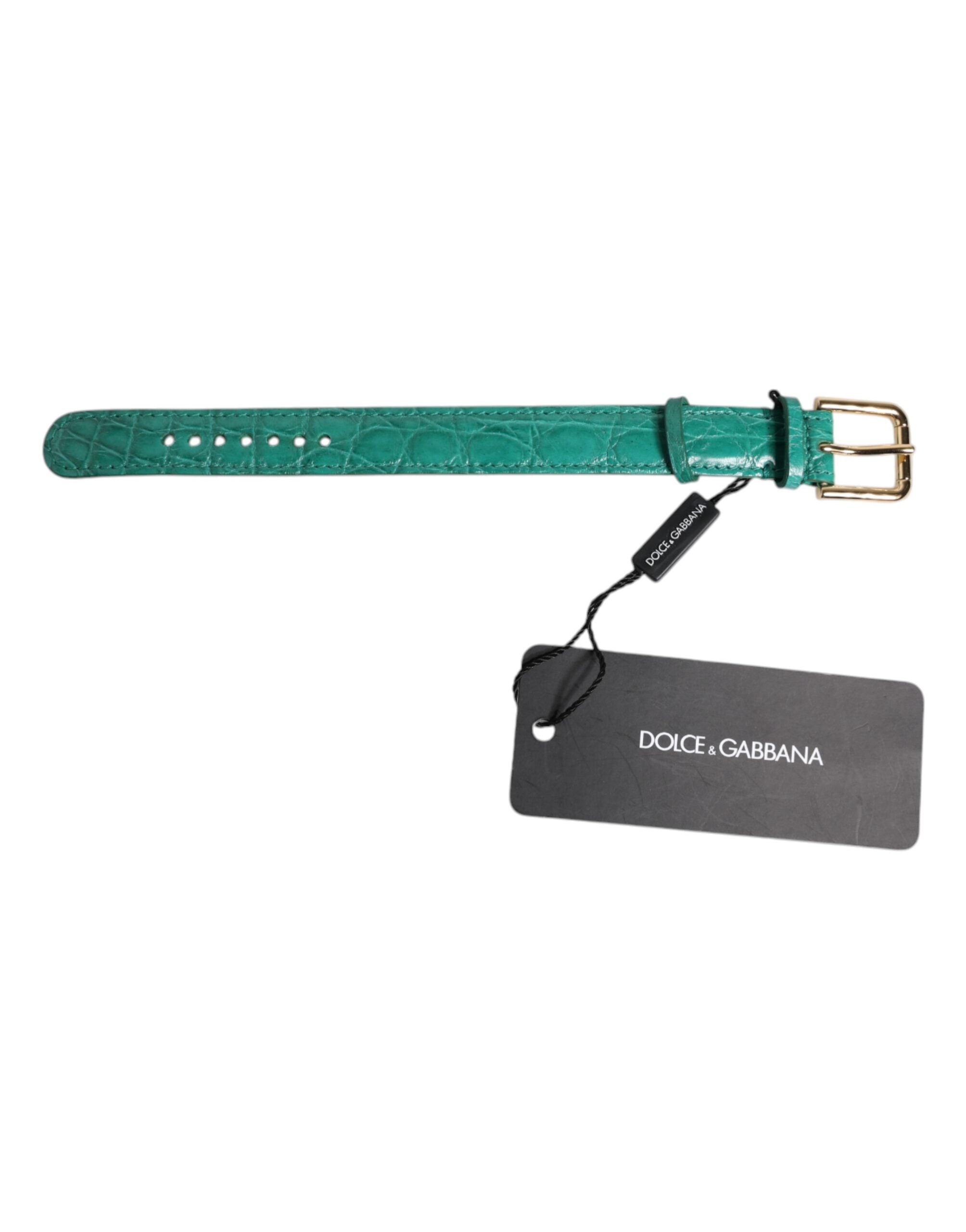 Dolce &amp; Gabbana Grönt Exotiskt Läderarmband med Guldfärgat Metallspänne
