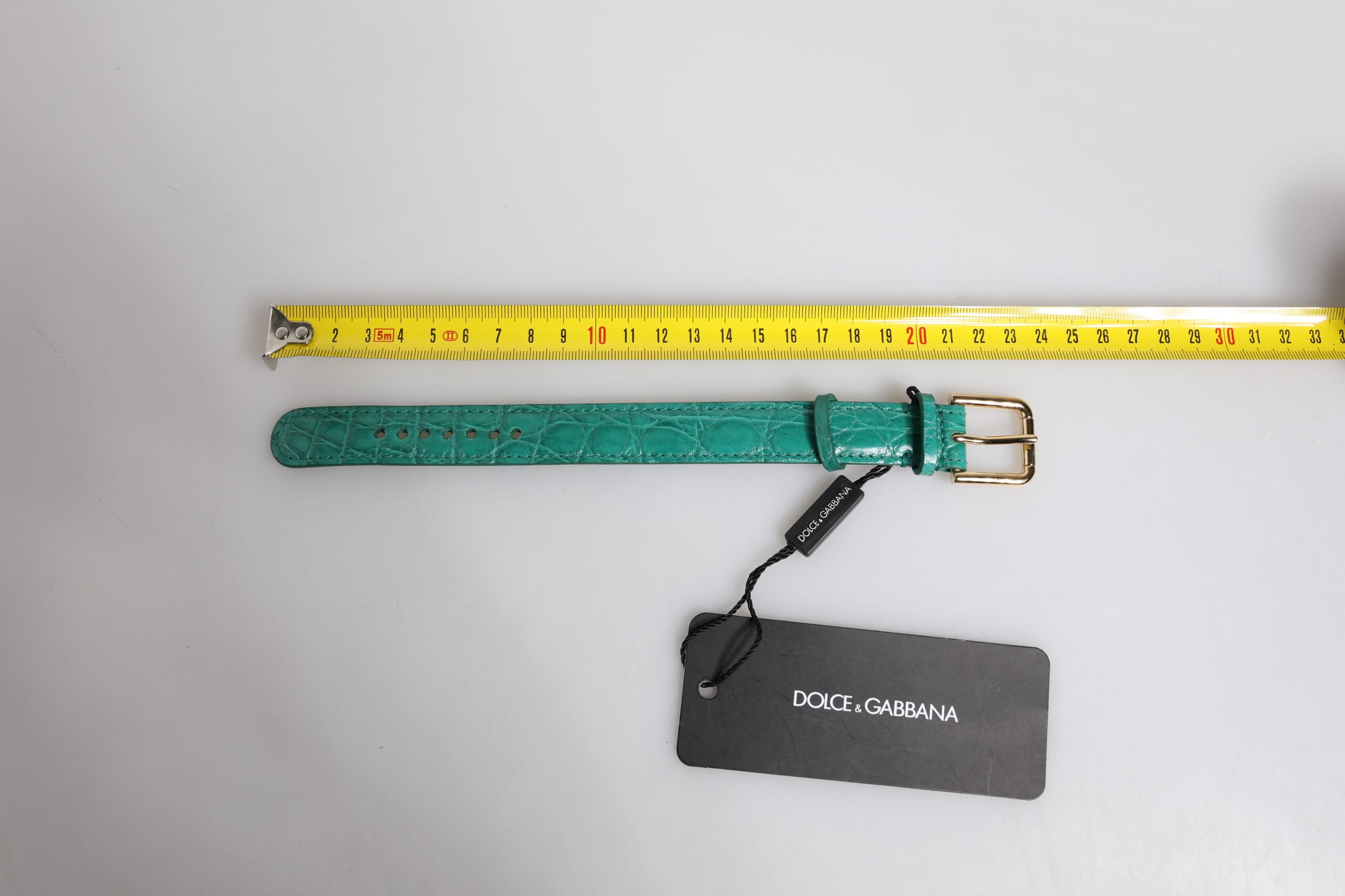 Dolce &amp; Gabbana Grönt Exotiskt Läderarmband med Guldfärgat Metallspänne