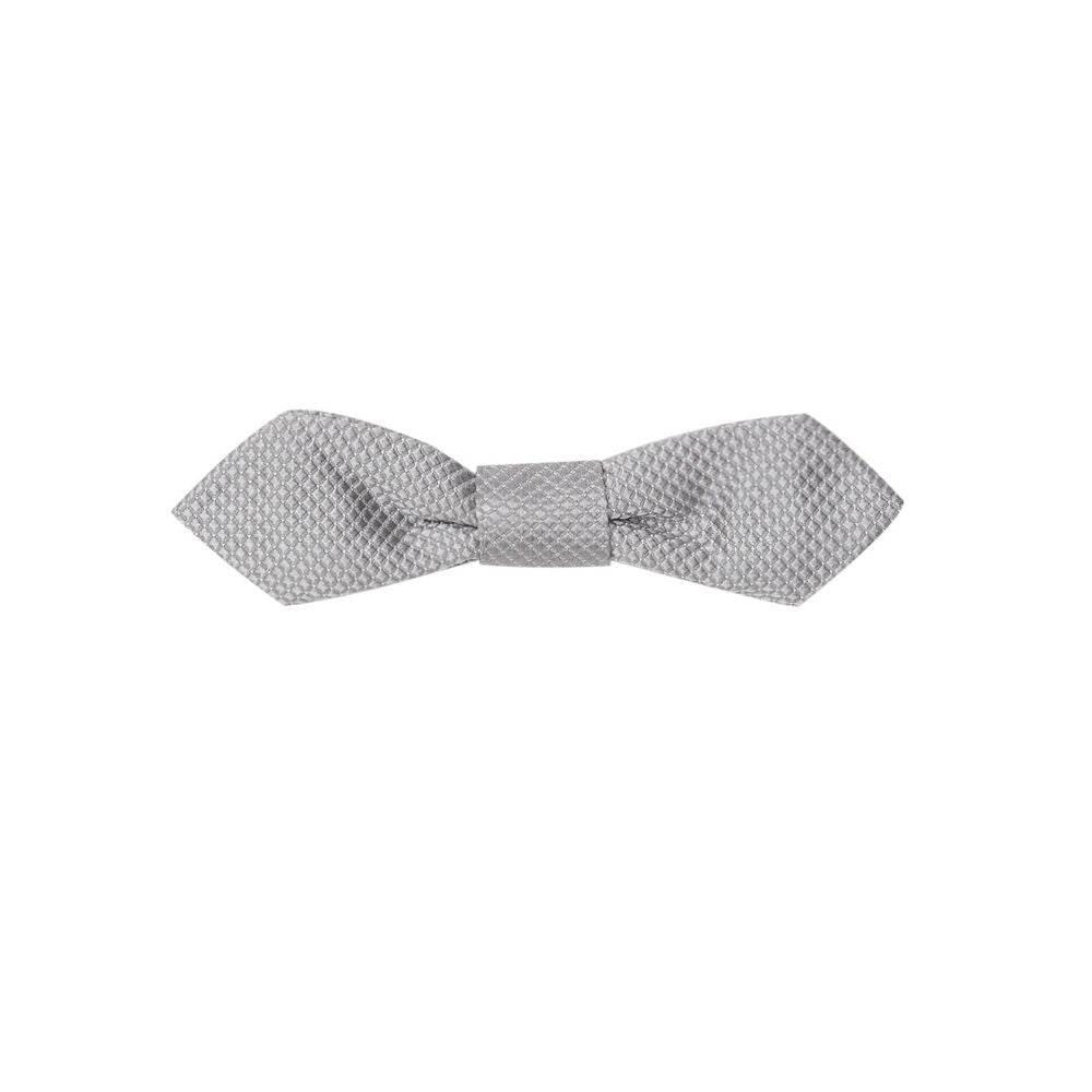 Dolce & Gabbana Silver Silk Ties & Bowty - Hilstor
