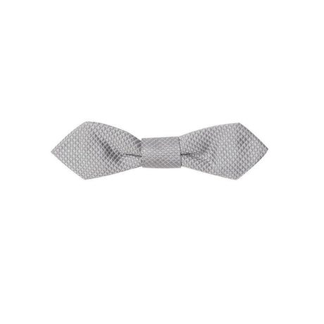 Dolce & Gabbana Silver Silk Ties & Bowty - Hilstor