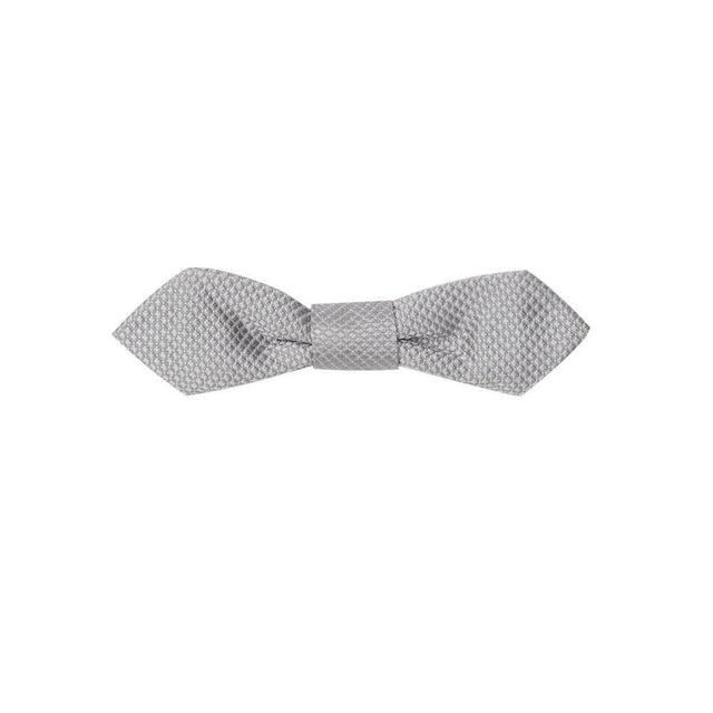 Dolce & Gabbana Silver Silk Ties & Bowty - Hilstor