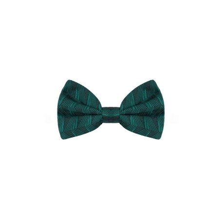 Dolce & Gabbana Green Silk Ties & Bowty - Hilstor