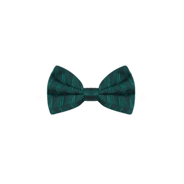 Dolce & Gabbana Green Silk Ties & Bowty - Hilstor