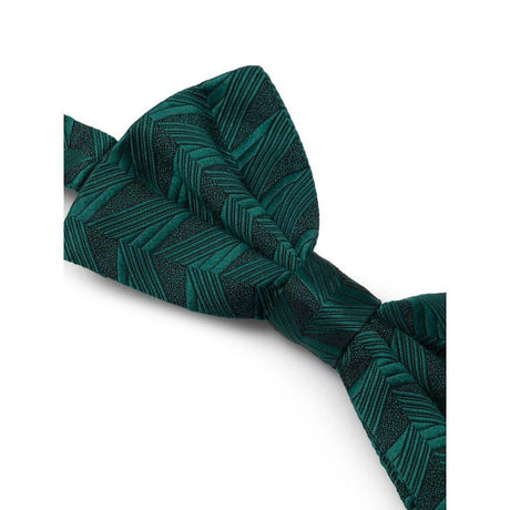 Dolce & Gabbana Green Silk Ties & Bowty - Hilstor
