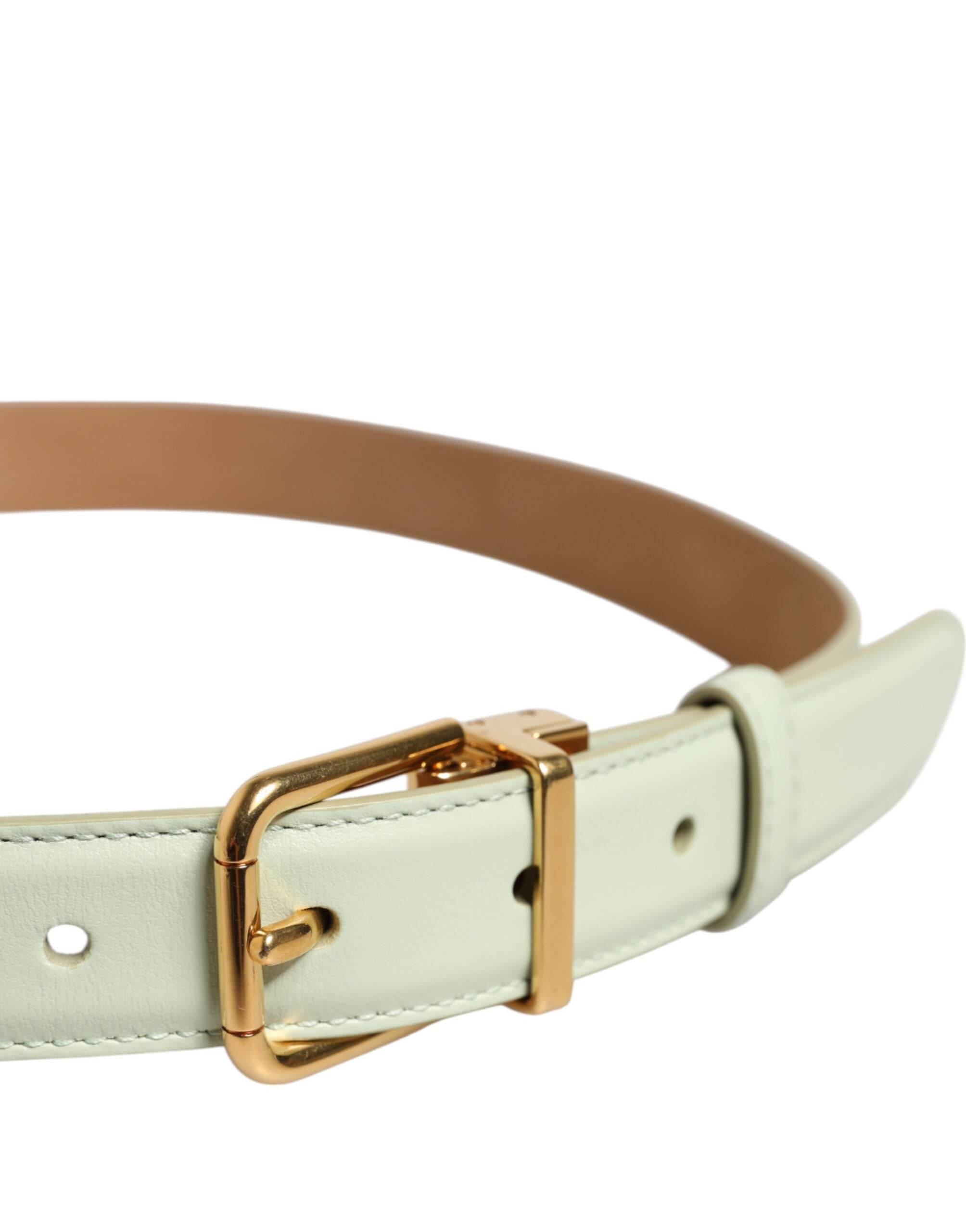 Dolce & Gabbana Light Green Leather Gold Metal Buckle Belt - Hilstor