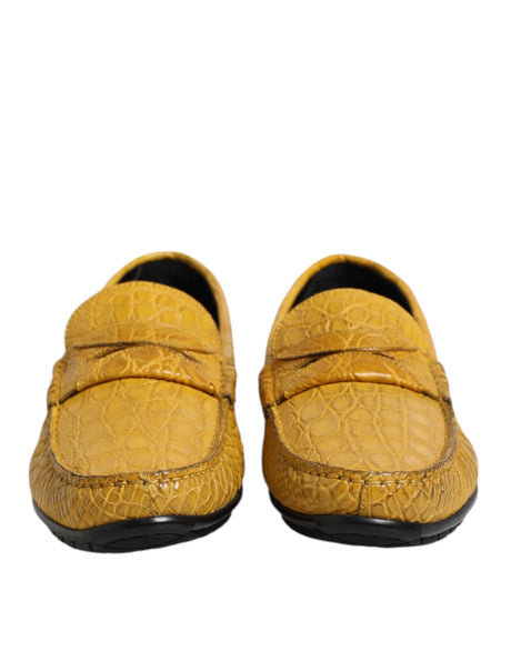 Dolce &amp; Gabbana Gule Eksotiske Læderloafers Slip On Sko